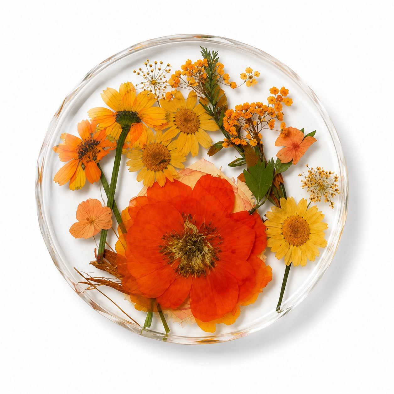 Eden Orange Resin Coaster