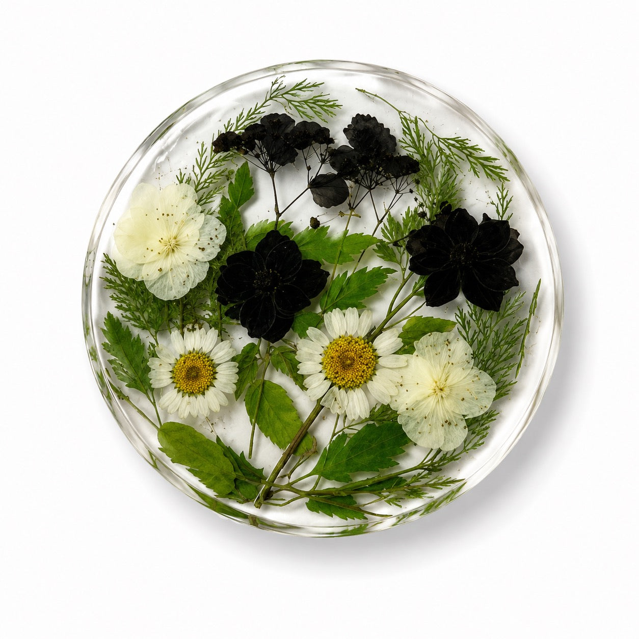 Eden Green Resin Coaster